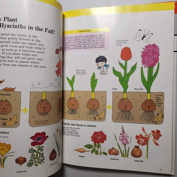 Flowers & Trees Child's First Library of Learning Hardcover Book Science Stem Ho - Picture 13 of 16